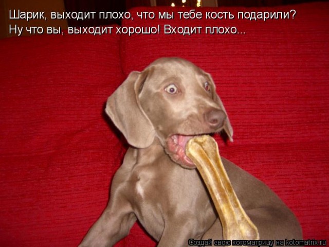 Картинки для настроения с надписями и без