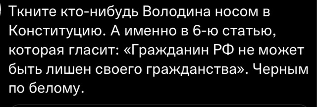 Володин призвал лишать гражданства ведущих себя «подло и предательски» россиян