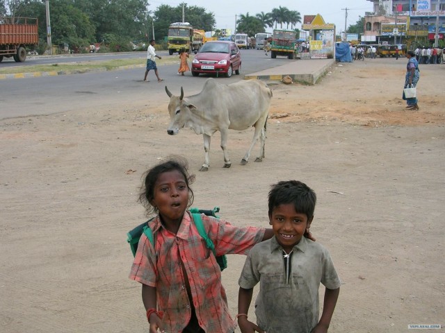 Индия 2007 - 2008 г.