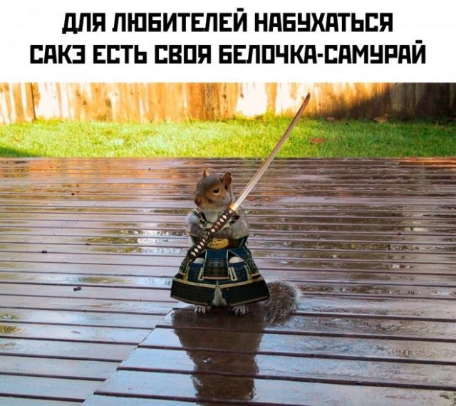 Просто картинки 26.08.22