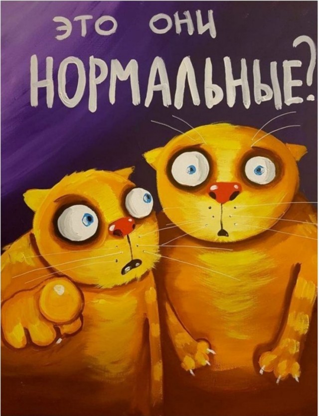 В Нижнем Новгороде женщина сбагрила питомца в котокафе и обиделась на его владельцев — теперь сама заплатит 200 тыс