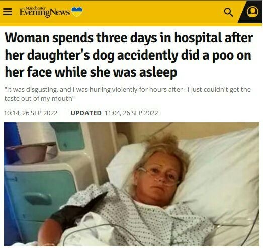 Женщину госпитализировали после того, как собака случайно (!) насрала ей на лицо и в рот, когда та спала