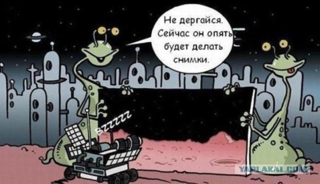 Марсоход Perseverance обнаружил на поверхности Марса сетку, похожую на ту, которую используют для оборачивания фруктов
