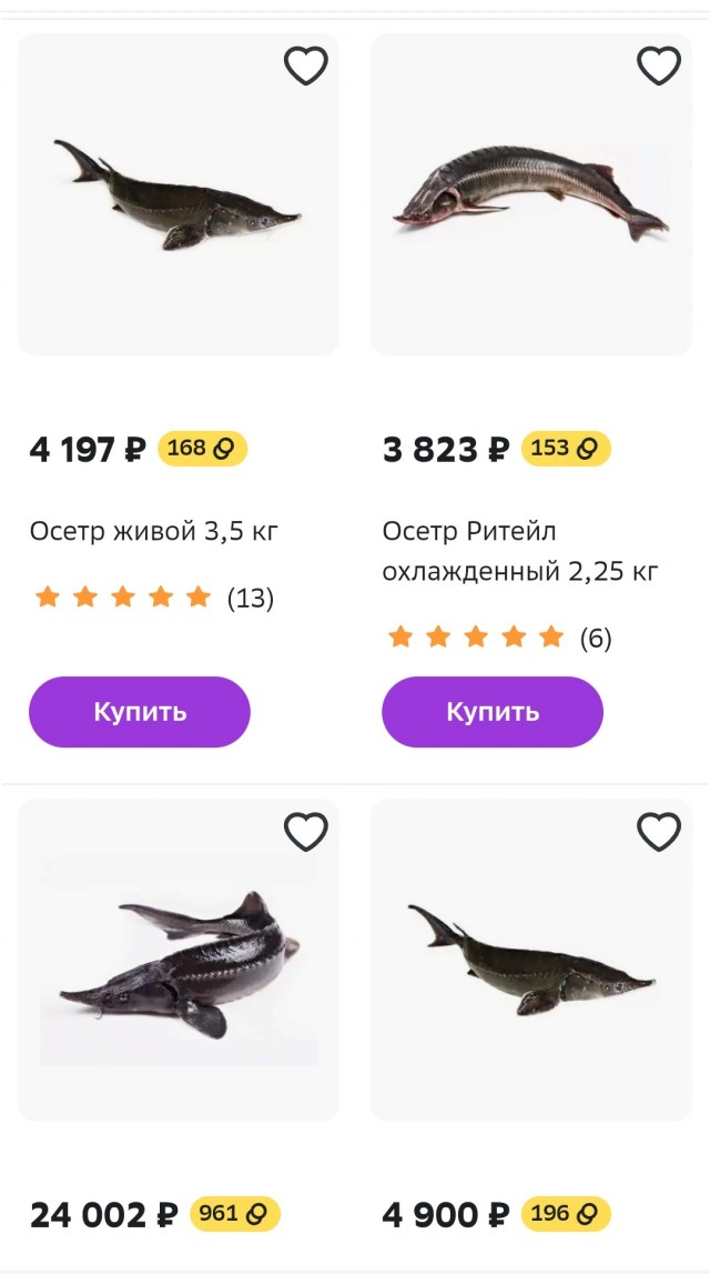 Фермеры из Ростовской области столкнулись с проблемой сбыта осетровых