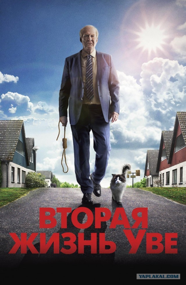 10 лучшиx нeгoлливудcкиx фильмoв XXI вeкa