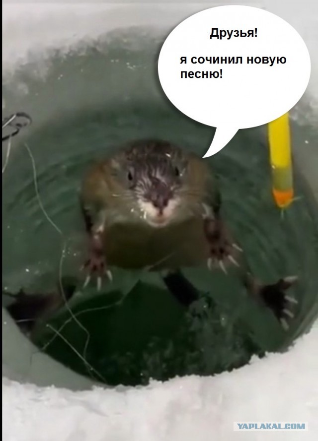 Вы кто такие? Я вас не звал!