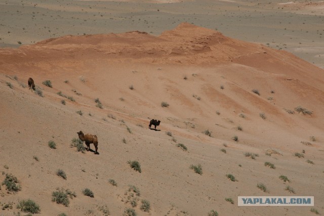В Монголию на мотоциклах 2006