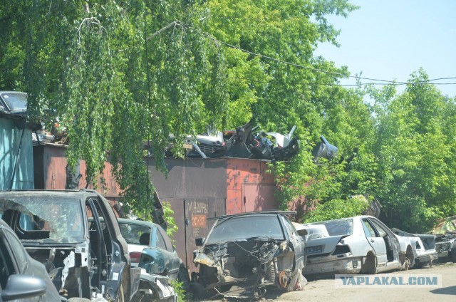 От криминального района и свалки до Инновационного центра МГУ. Фото до/после⁠⁠