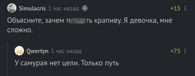 Нуштош 20.06.2023
