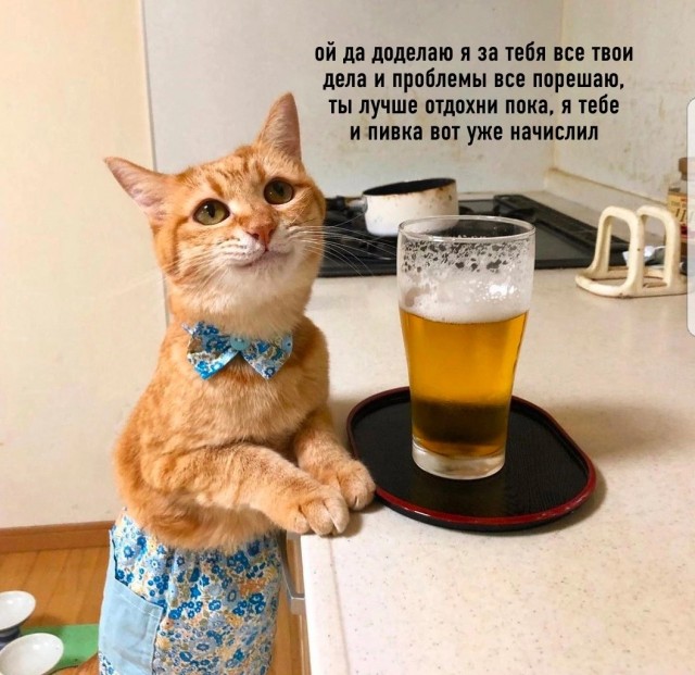 Коты на производстве
