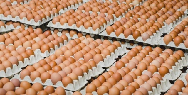 Яйца и курятину приходится импортировать