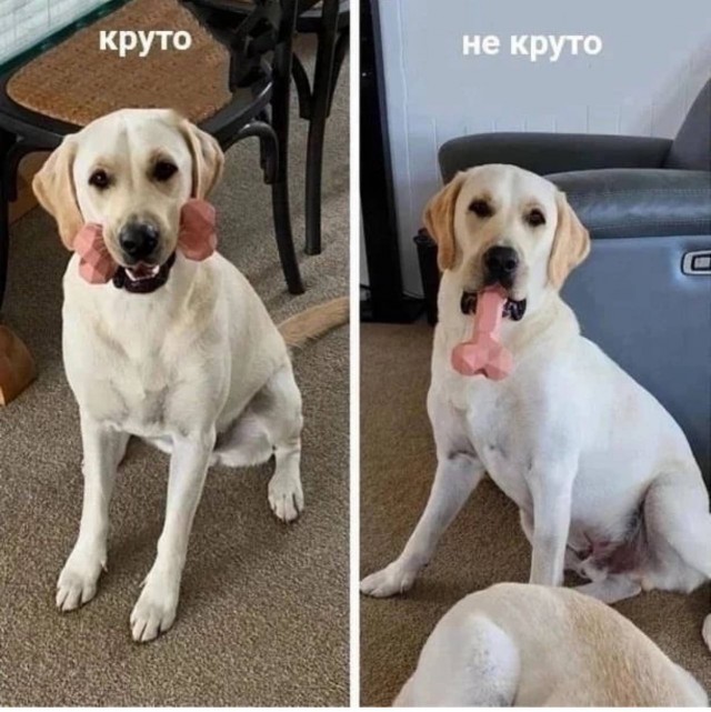 Всего понемногу. От 23.02.24