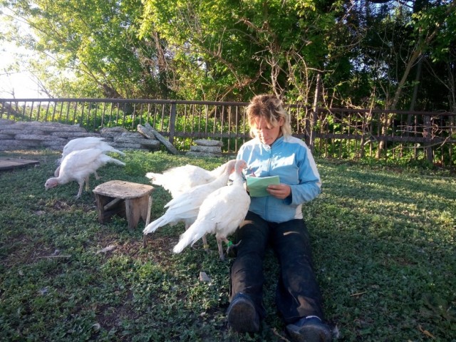 Веселая ферма: много фоточек!