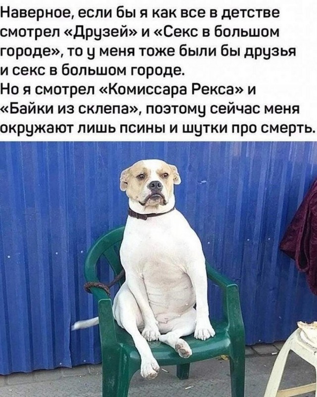 Всего понемногу. От 27.09.24