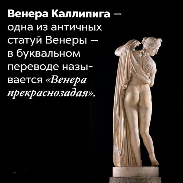 Так себе картинки 31.10.24