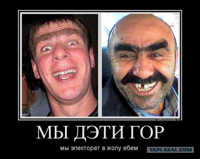 Навальный – президент ботов