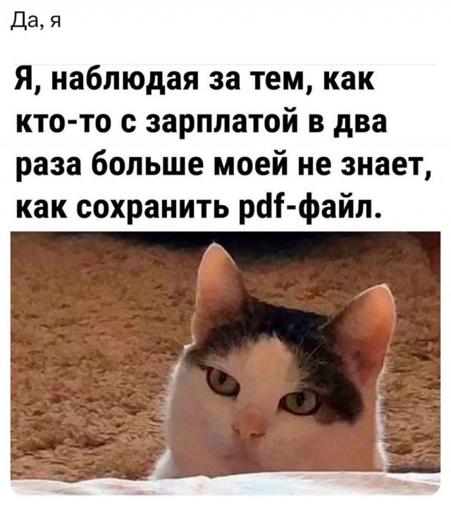Завалялось тут случайно немного забавных картинок
