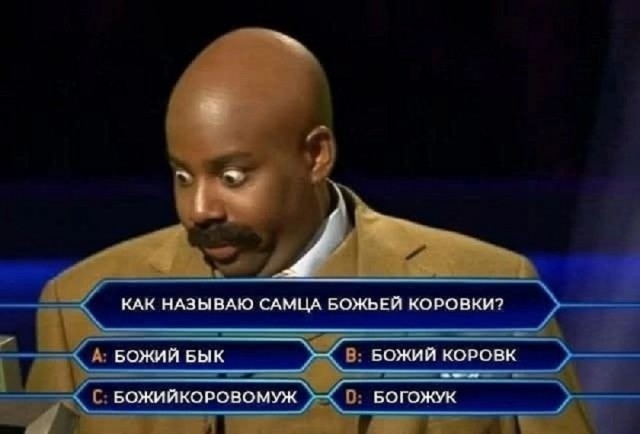 Так себе картинки 03.07.25