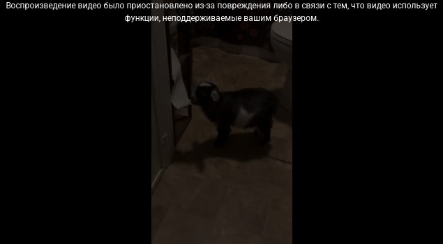 Это еще что за хня?