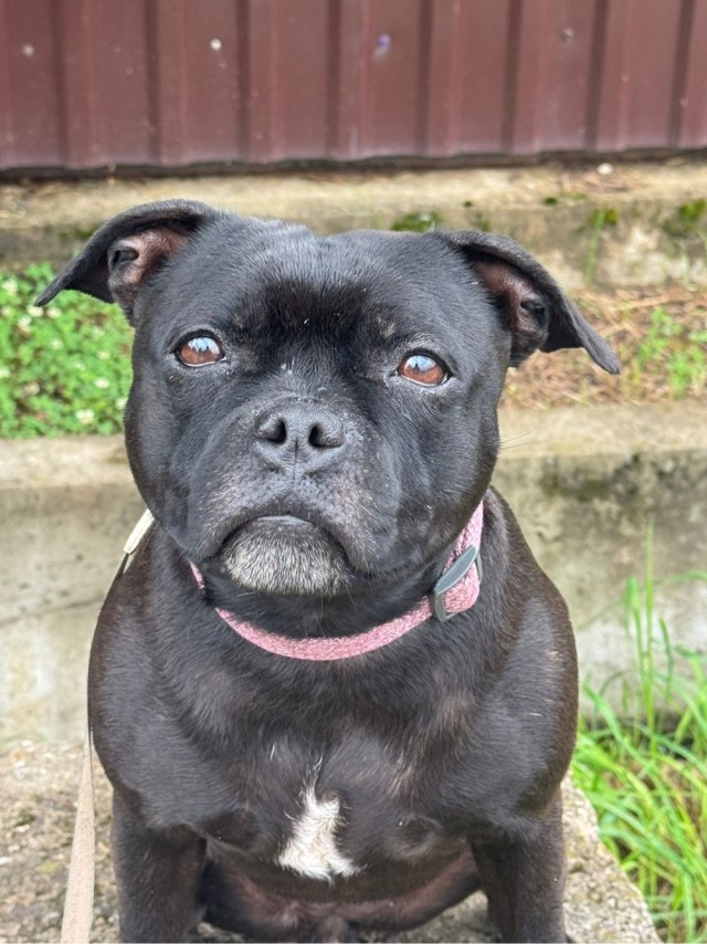 Танцуют все!