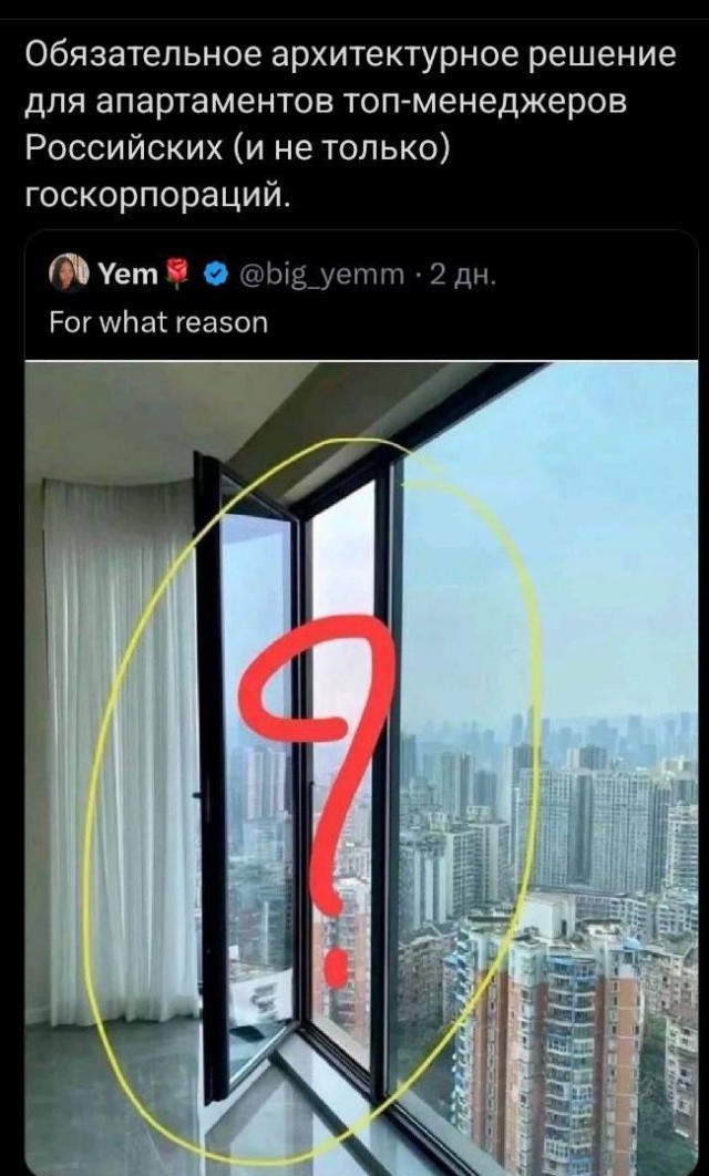 20443881.jpg
