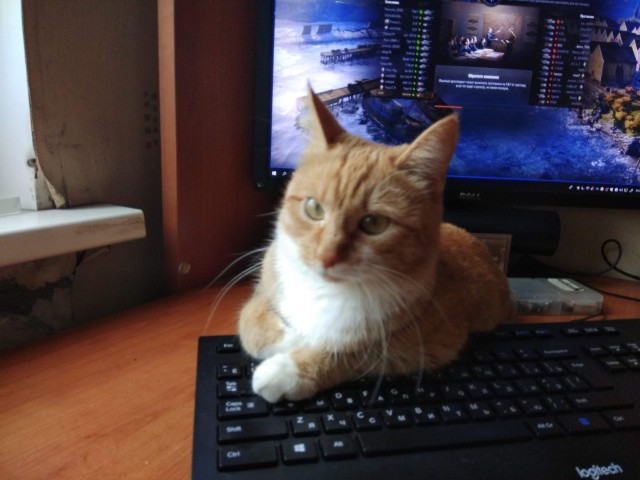 Ночной кошмар