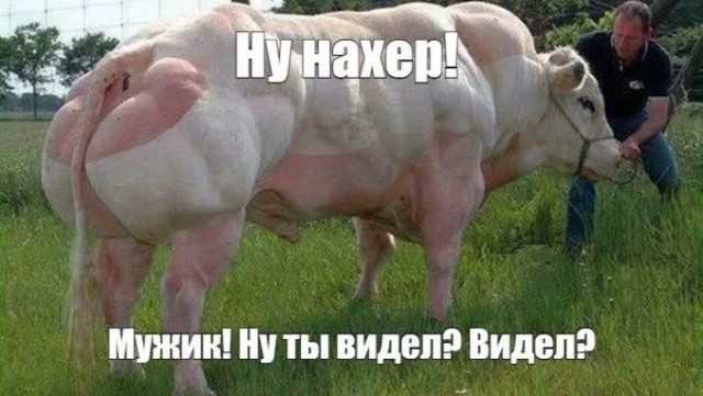 Пятничная жопка