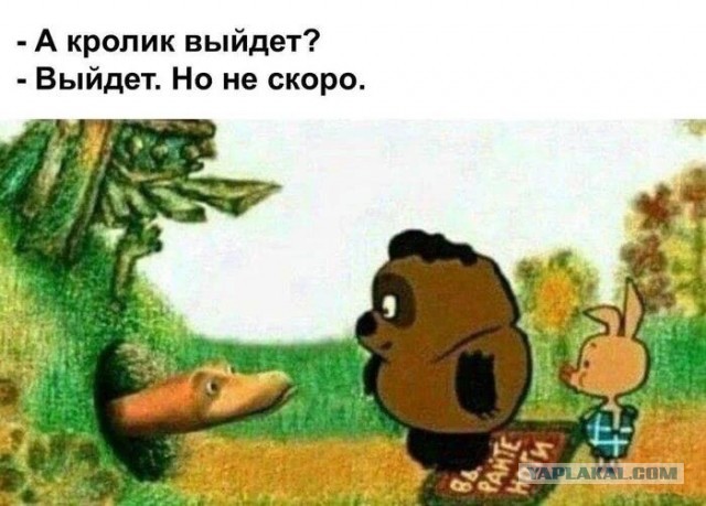 Картинки для деградации 269 (разной степени свежести)