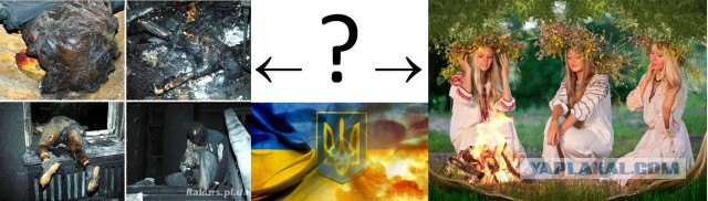 Укроапофигей юго-восточный.
