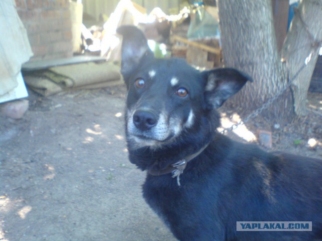 Когда я ем, я глух и нем