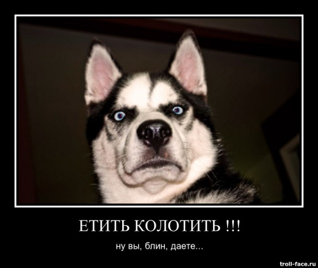 Подслушано