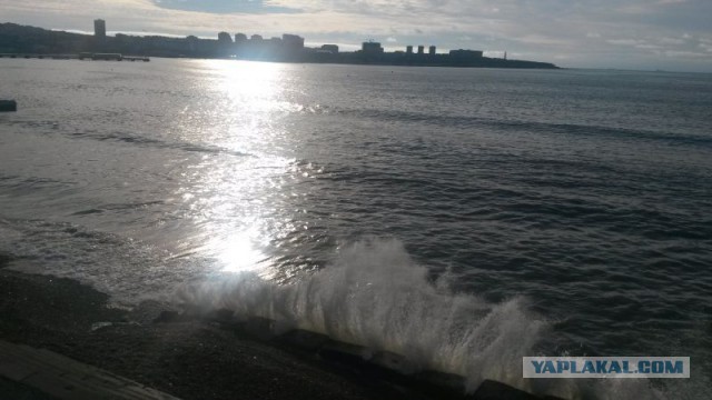 Такое разное Чёрное море