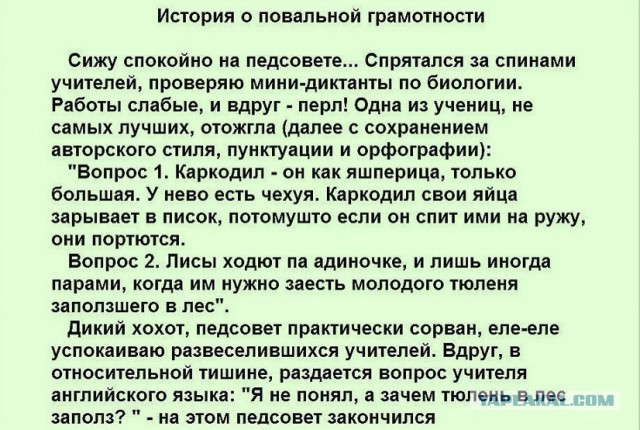 Весёлые картинки