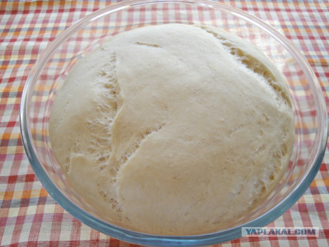 Психокулинария. День открытых дверей.