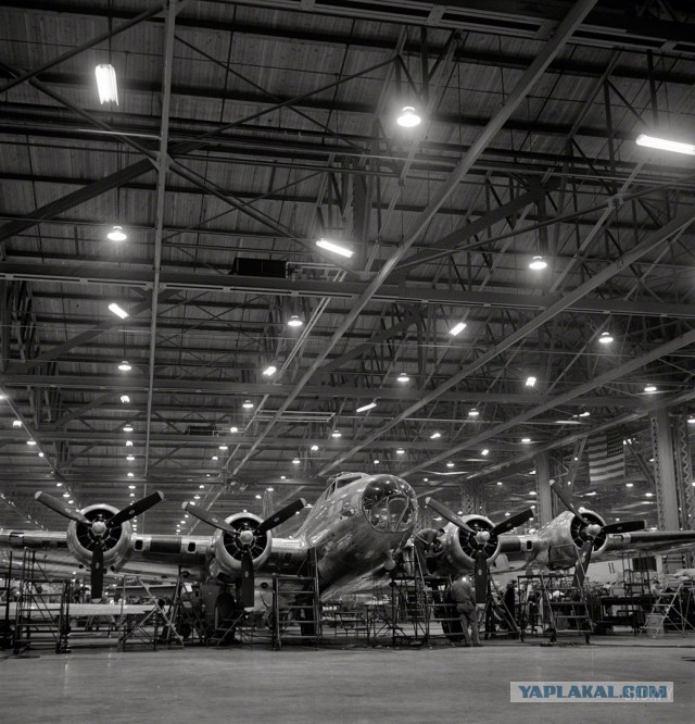 Подборка интересных и прикольных фото