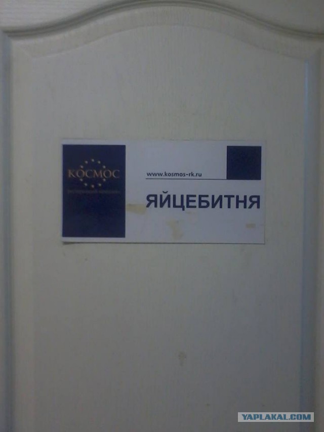 Порция картинок