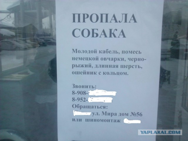 Соцсети - и смех и грех