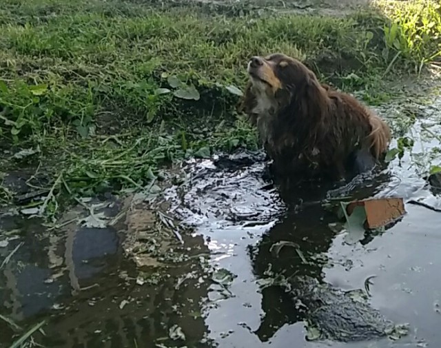 Недавно купил фотоаппарат! Хочу похвастаться!