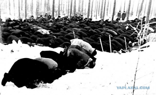 Интересные и редкие ретро-фотографии