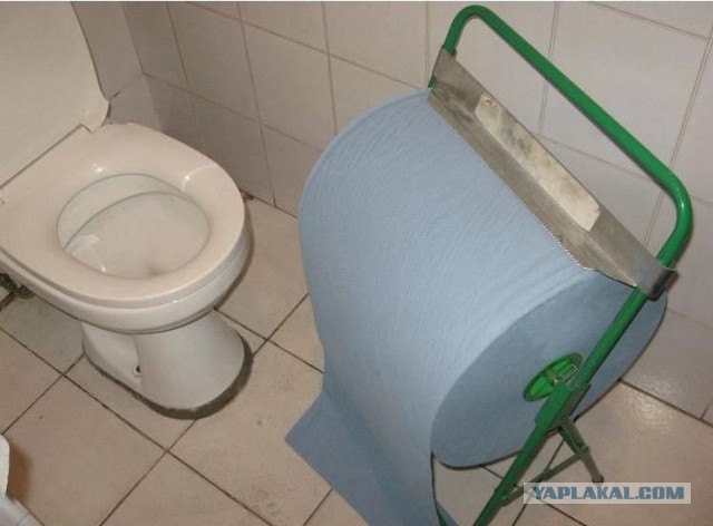 Это не попа толстая,а кость широкая! :)