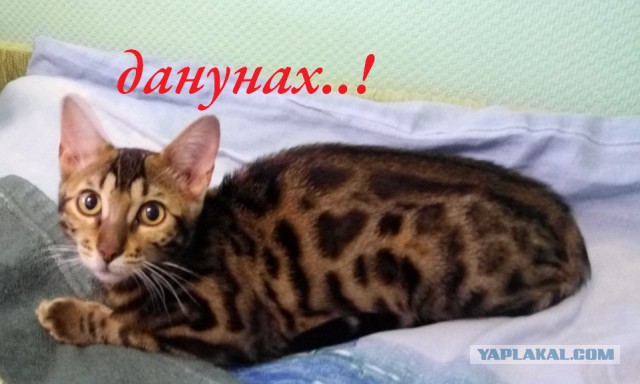 С выраженьем на лице...