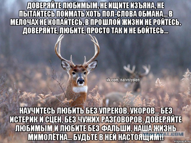 Мужики стоит ли отпускать жену на дискотеку с подругами?