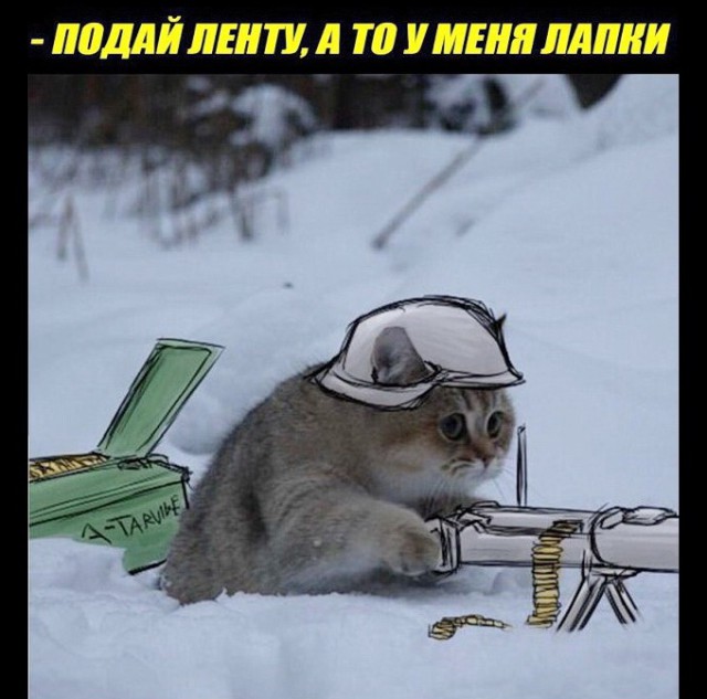 Отлов собак. Спасающие наши жизни
