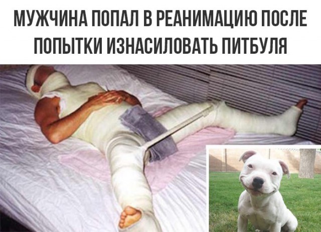 Подборка интересных и веселых картинок