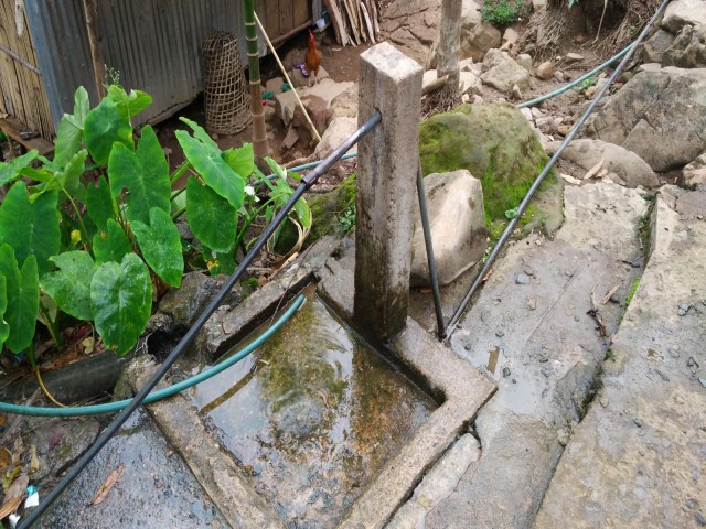 К живым мостам и обратно. Заметки из Индии