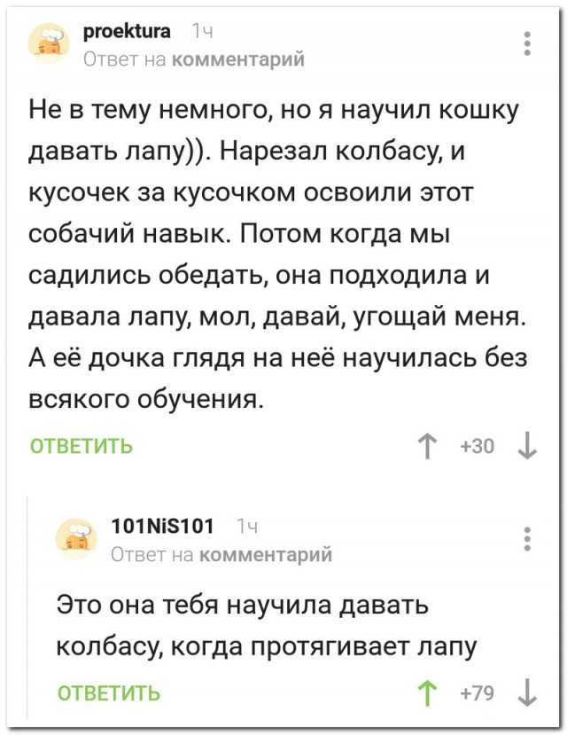 Смешные комментарии из социальных сетей 06.07.2018