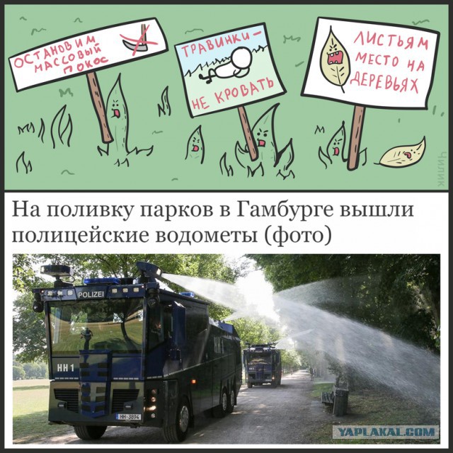 Специфический юмор