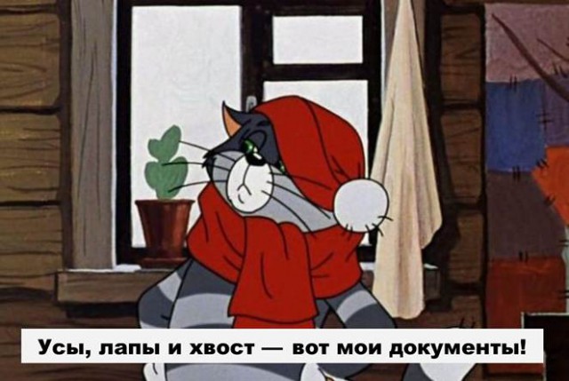В Туле задержан кот-наркокурьер: зеки научили его носить наркотики в колонию