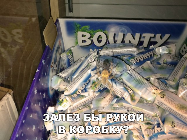 Нестандартный юмор