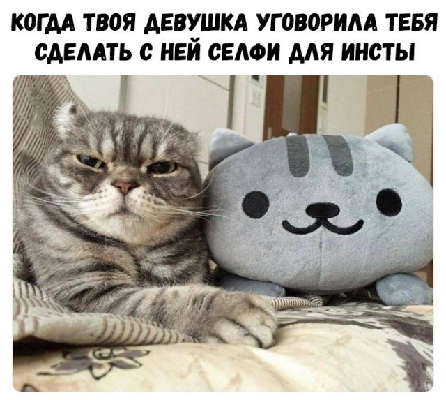 Нестандартный юмор